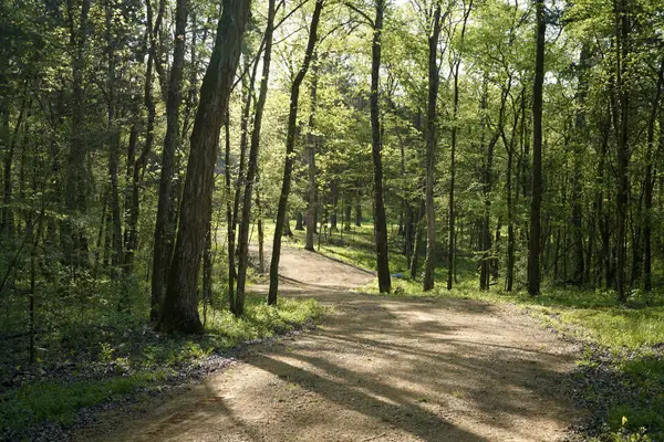 0 Gilliam Ln, Columbia, TN 38401