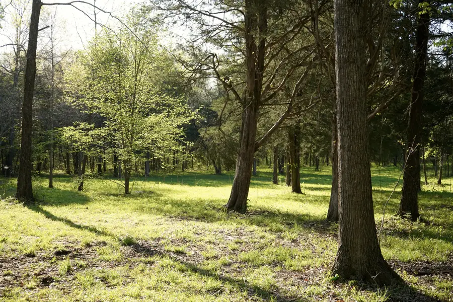 0 Gilliam Ln, Columbia, TN 38401 - #2