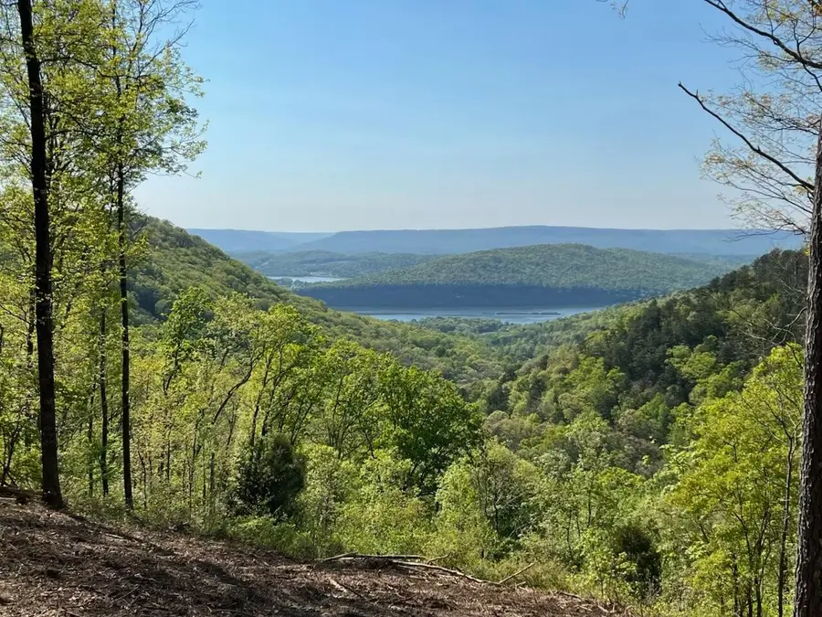 0 Birds Eye Way, Guild, TN 37340 - #2