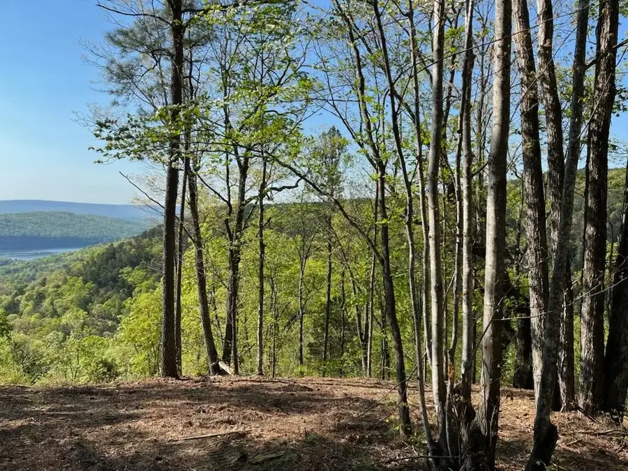 0 Birds Eye Way, Guild, TN 37340 - #3