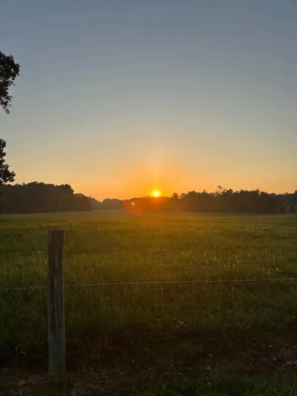 0 Knob Creek Rd, Wartrace, TN 37183