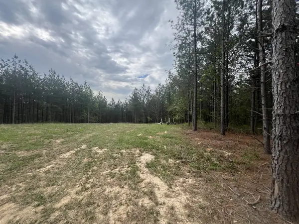 36 Pafford Lane, Erin, TN 37061