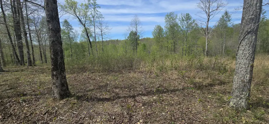 360 James Zimmerman Rd, Hampshire, TN 38461 - #3