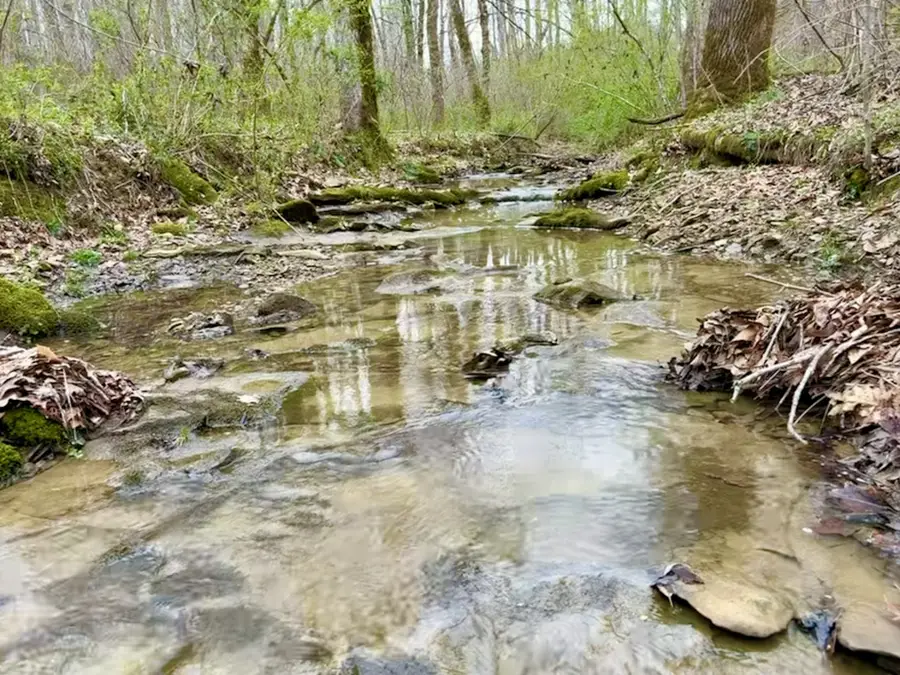 1130 Kermet Turner Rd, Rock Island, TN 38581 - #2