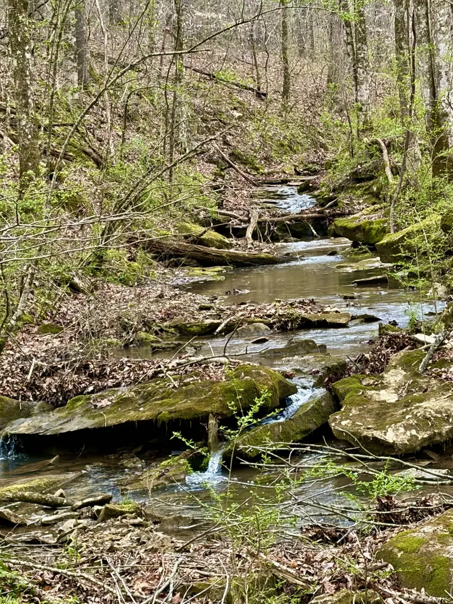 1160 Kermet Turner Rd, Rock Island, TN 38581 - #2