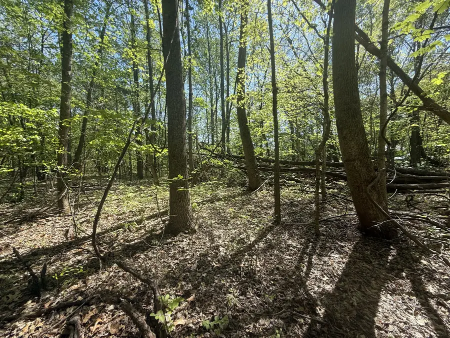 0 Dunbar Cave Rd, Clarksville, TN 37043 - #3