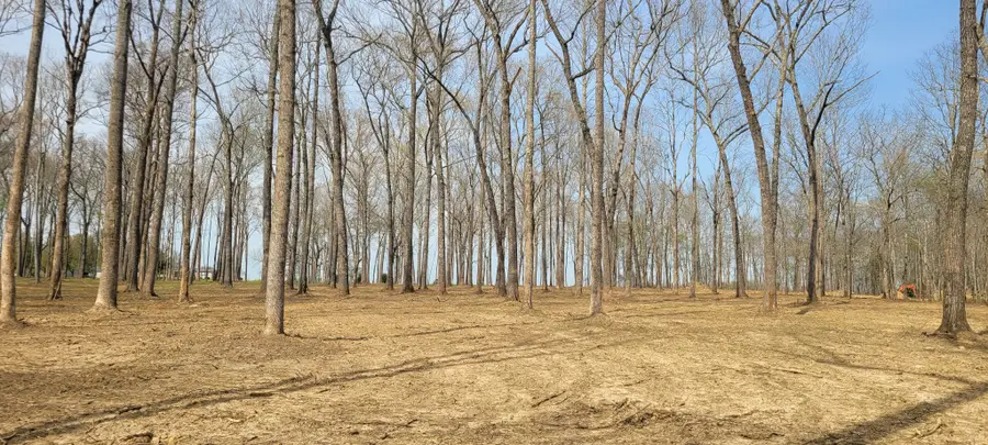 6 Goforth Rd, Morrison, TN 37357 - #3