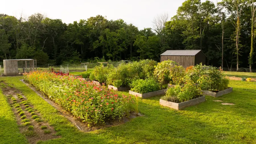 1489 Old Tva Rd, Columbia, TN 38401 - #3