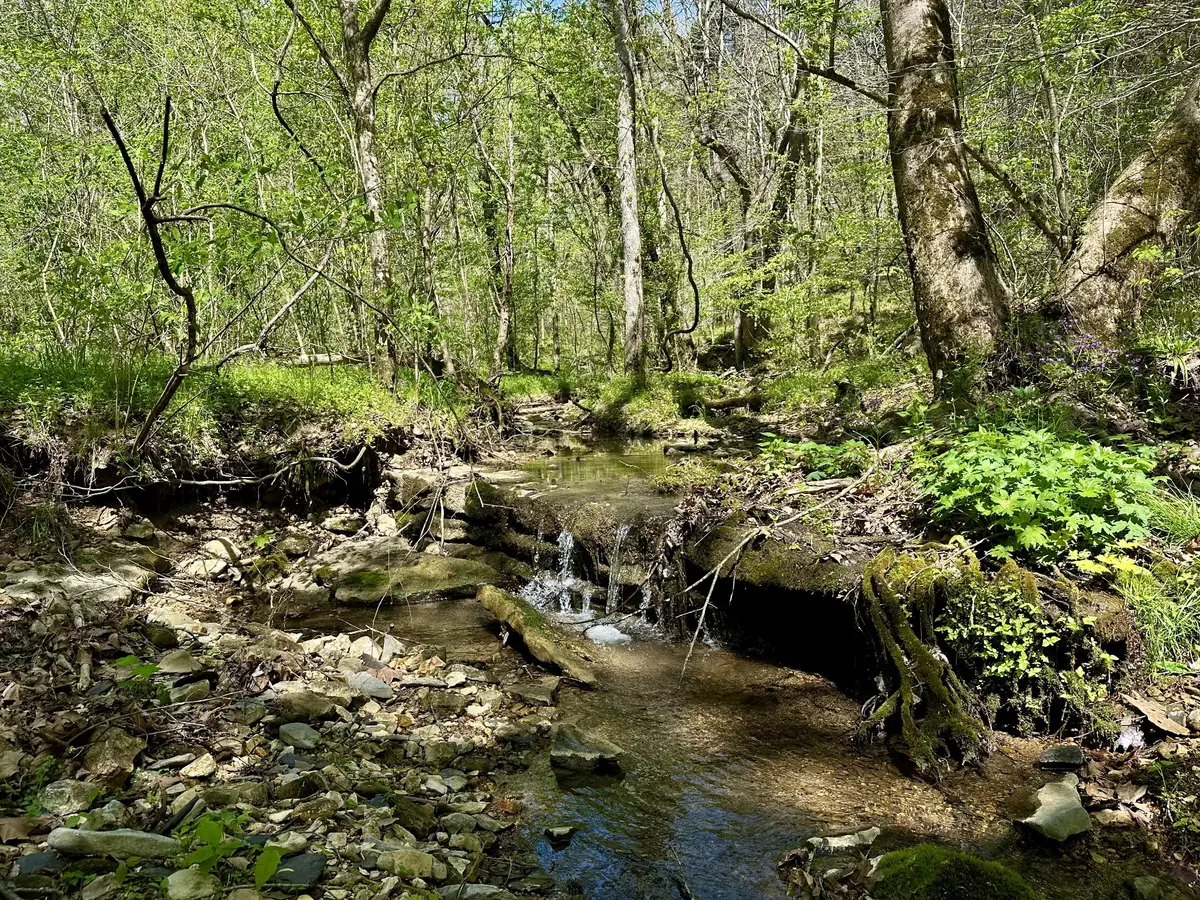 0 Ponder Rd, Smithville, TN 37166 - #1