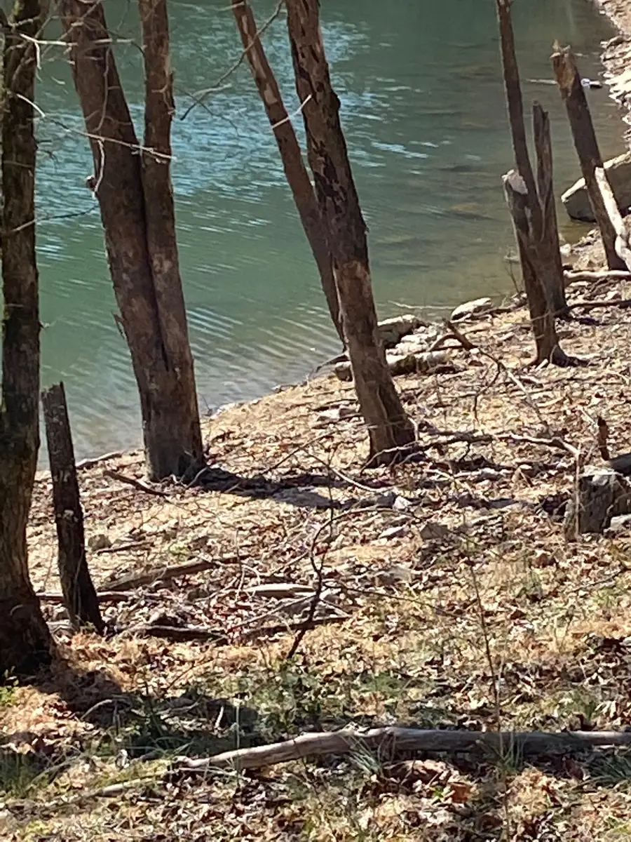 0 Wagon Lane, Speedwell, TN 37870 - #2