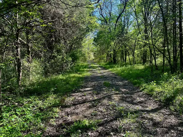 0 Cedar Grove Rd S, Chapel Hill, TN 37034