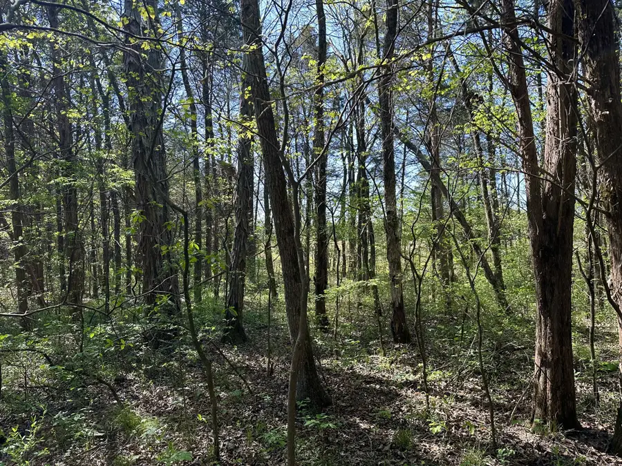 0 Cedar Grove Rd S, Chapel Hill, TN 37034 - #3