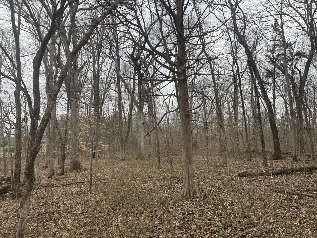 0 Hwy 41 A N, Shelbyville, TN 37160 - #1