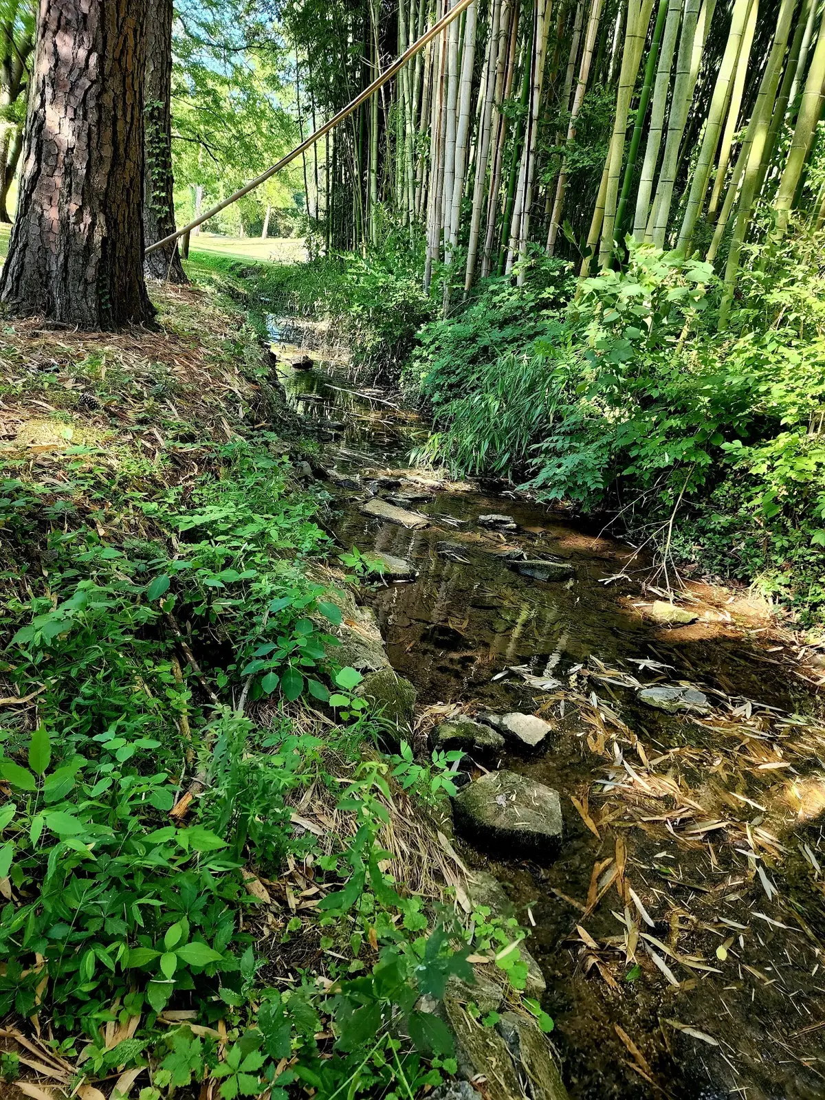 267 Graylynn Dr, Nashville, TN 37214 - #1