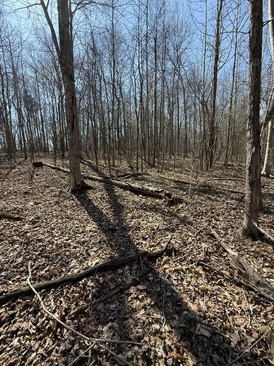 0 Brigham Branch Rd, Erin, TN 37061 - #2