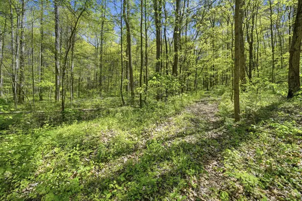 0 Green Road, Beechgrove, TN 37018