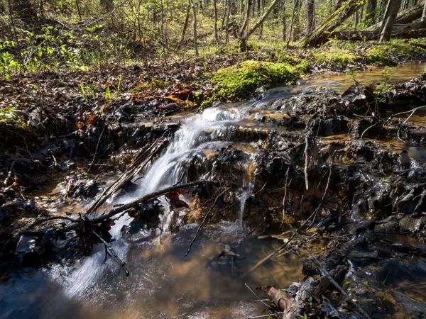 3916 Cummings Road, Chattanooga, TN 37419