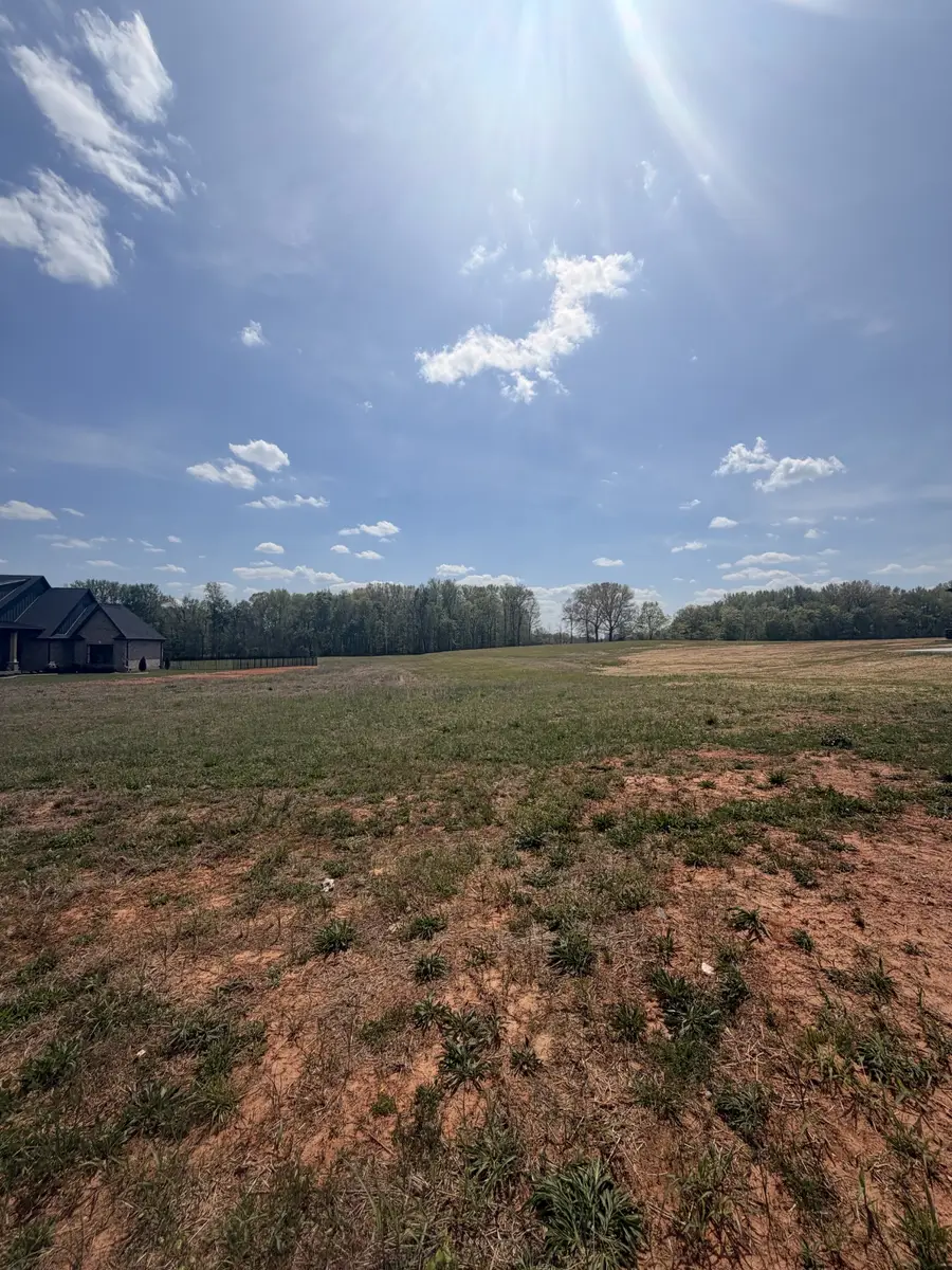 23 Fawn Meadows, Clarksville, TN 37043 - #3