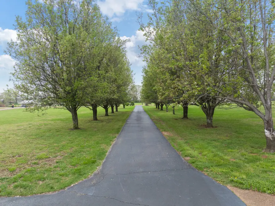 6544 Highway 436, Mc Kenzie, TN 38201 - #2