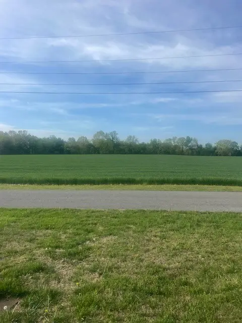 7748 Webster Rd, White House, TN 37188 - #2