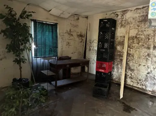 203 Graham St, South Fulton, TN 38257 - #2