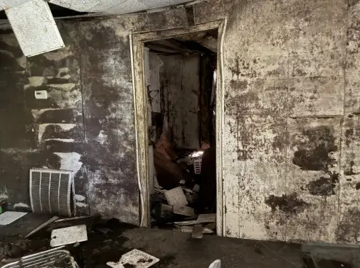 203 Graham St, South Fulton, TN 38257 - #3