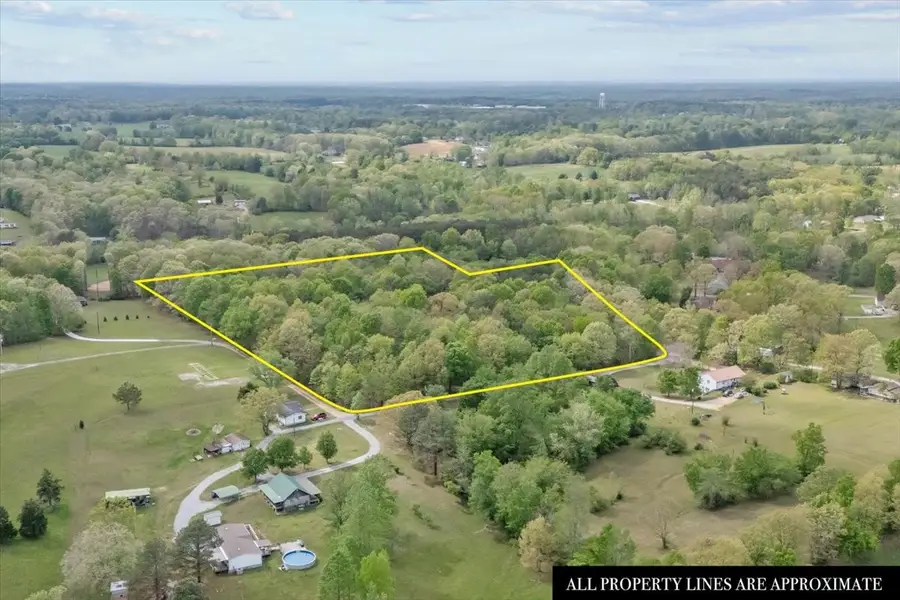 555 Parrish Ln, Mc Ewen, TN 37101 - #3