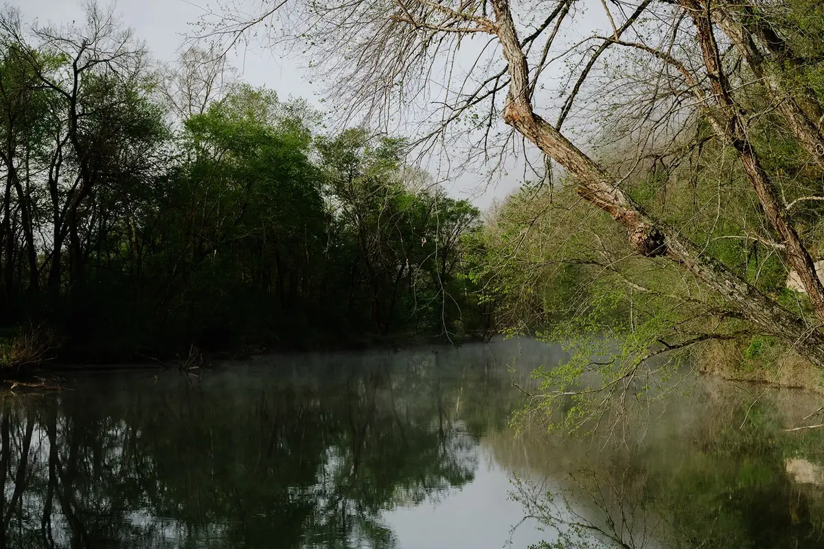 846 R Wilkerson Dr, Centerville, TN 37033 - #1