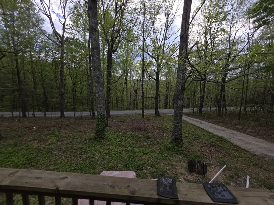 198 Neil Dr, Smithville, TN 37166 - #3