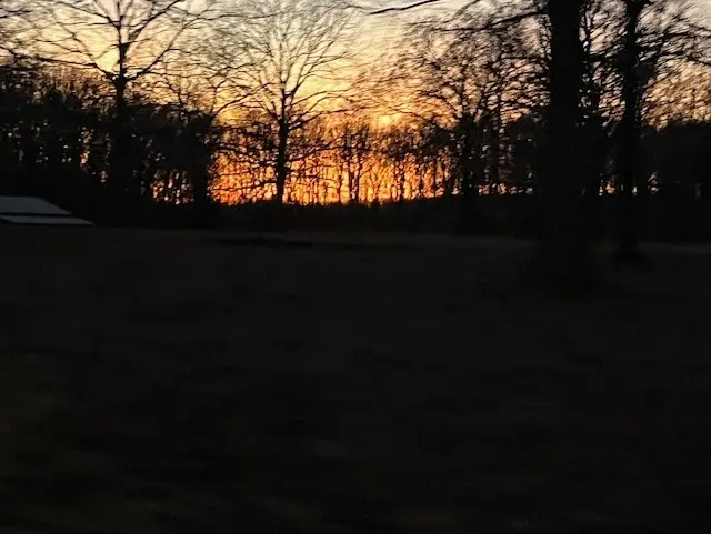 1386 Chisholm Rd, Cypress Inn, TN 38452 - #3