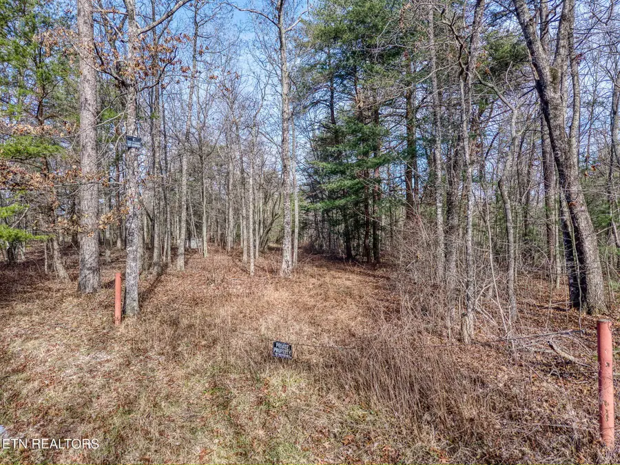 1152 Muddy Branch Rd, Crossville, TN 38571 - #2