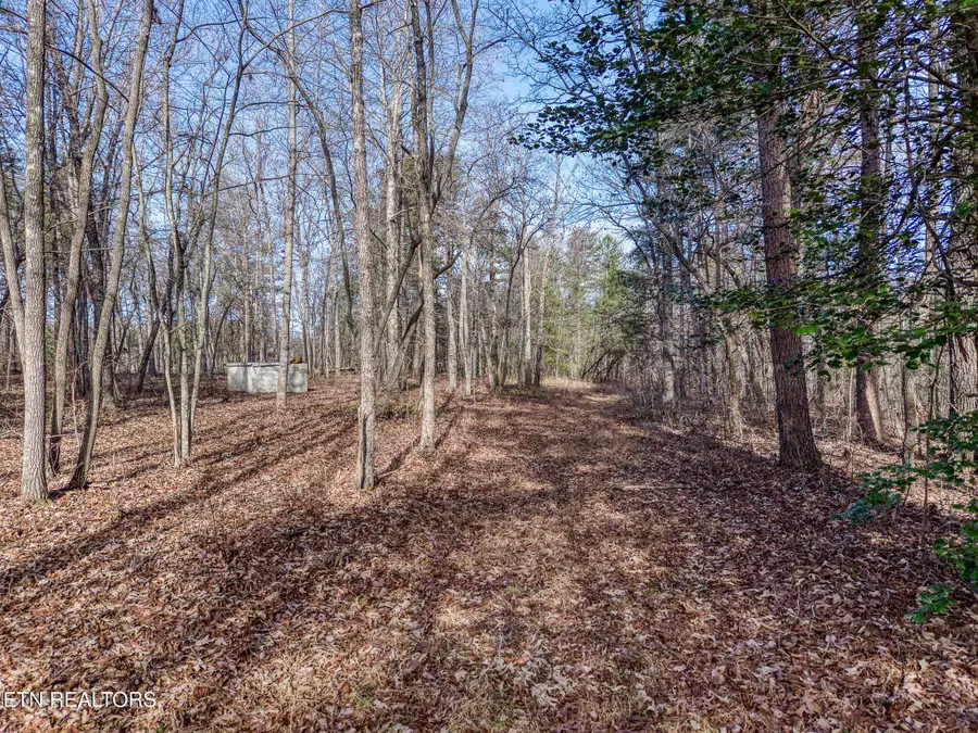 1152 Muddy Branch Rd, Crossville, TN 38571 - #3