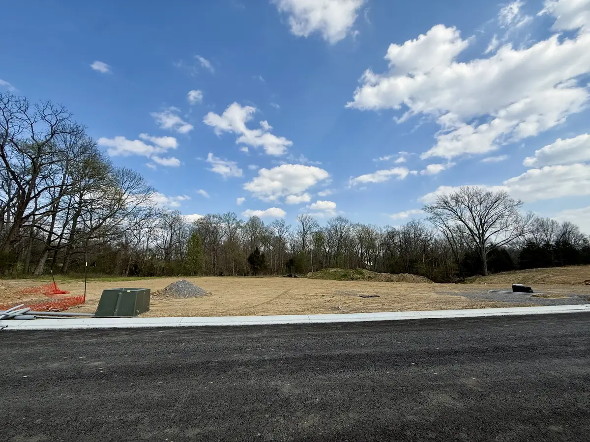 537 Divine Court, Arrington, TN 37014 - #1