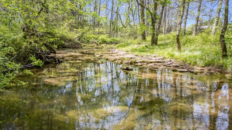 15495 Cainsville Rd, Milton, TN 37118 - #2