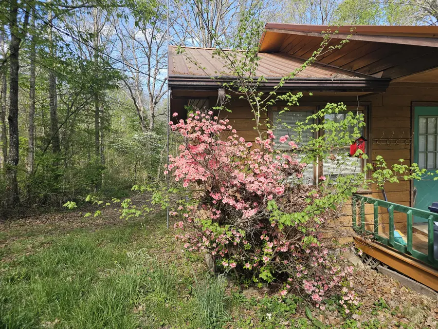 581 N 50th Ave, Gruetli Laager, TN 37339 - #2