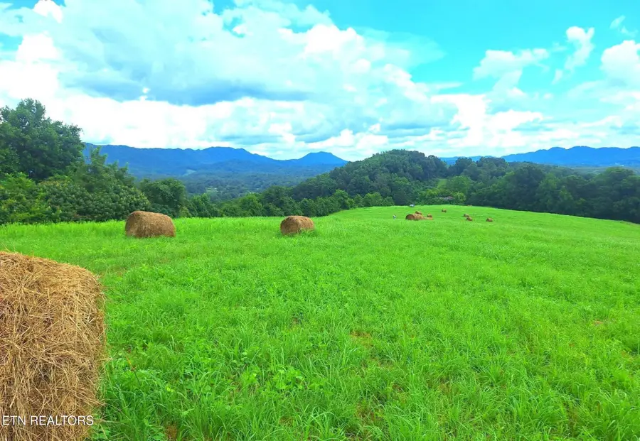 305 Race Track Rd, Rogersville, TN 37857 - #2