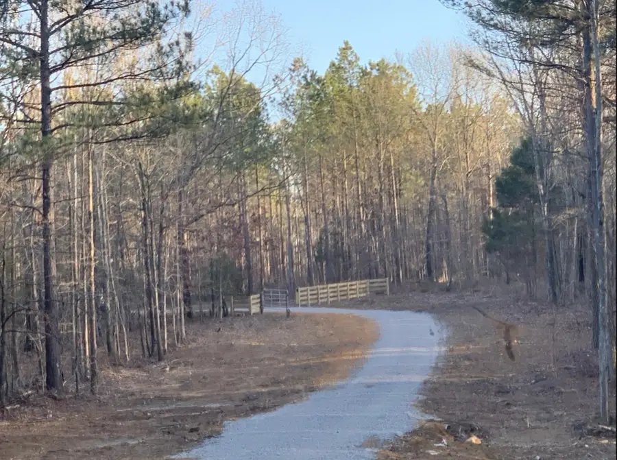 1 Summertown Hwy, Summertown, TN 38483 - #3