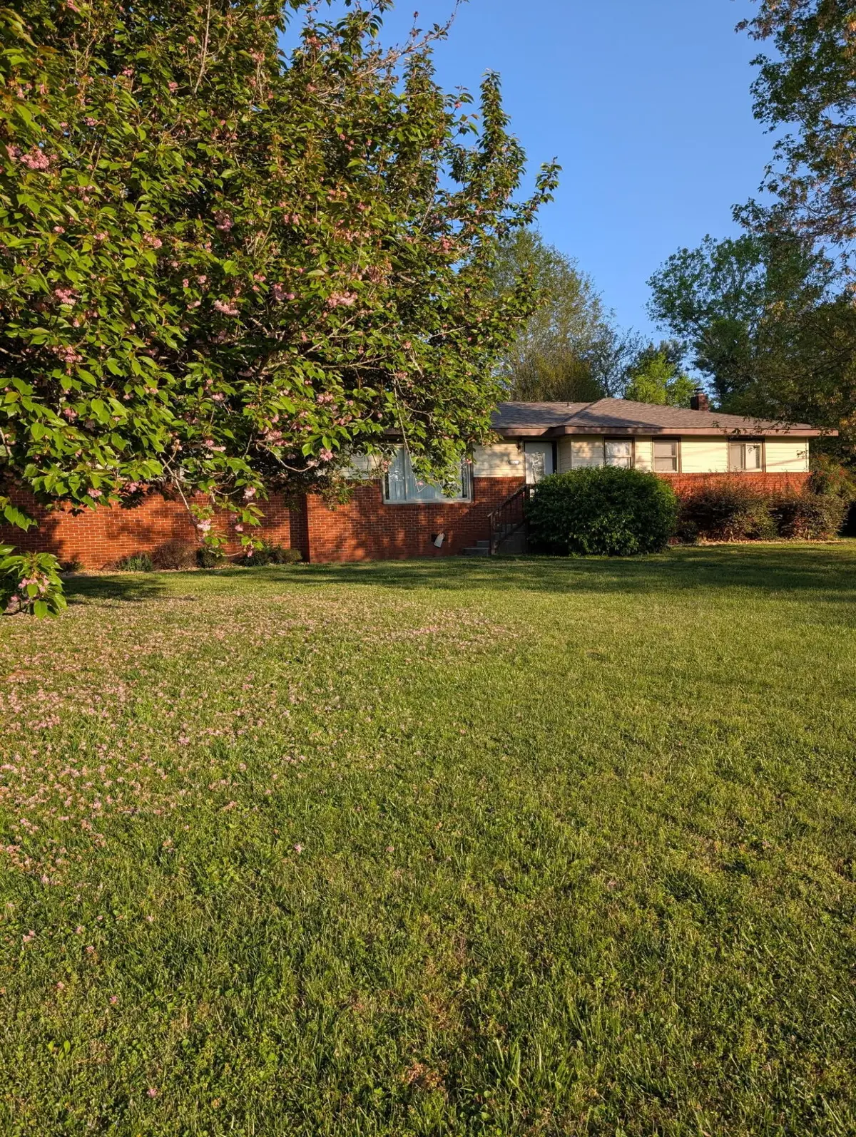 1239 Dossett Street, Athens, TN 37303 - #1