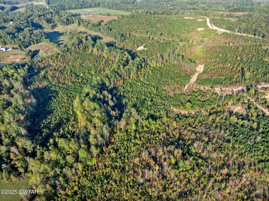 7 Tucker Rd, Bath Springs, TN 38311 - #2