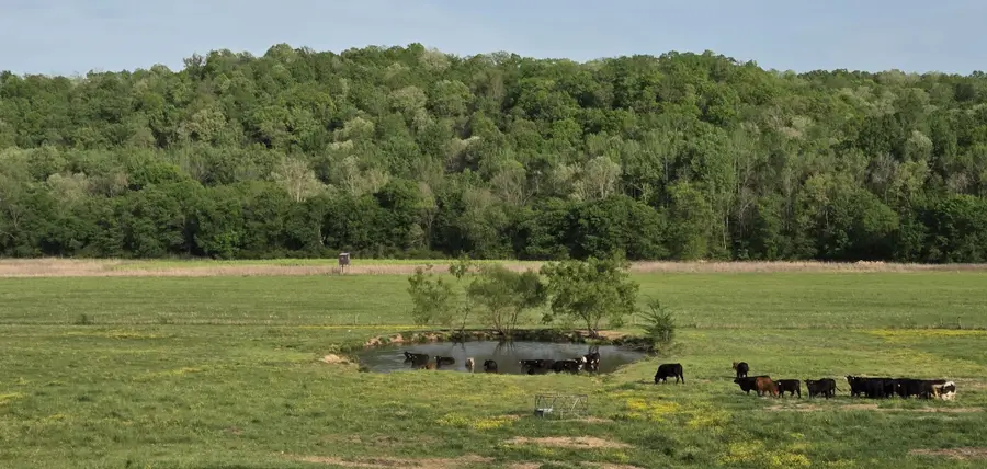 0 Red Bank Road, Lobelville, TN 37097 - #3