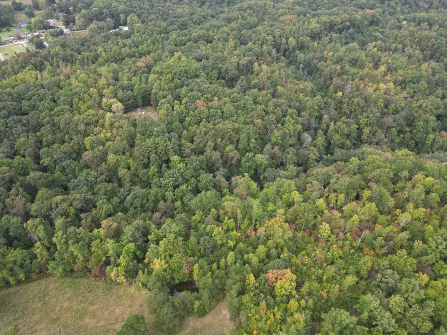 0 Eagle Creek Rd Old Eagle Creek, Smithville, TN 37166 - #3