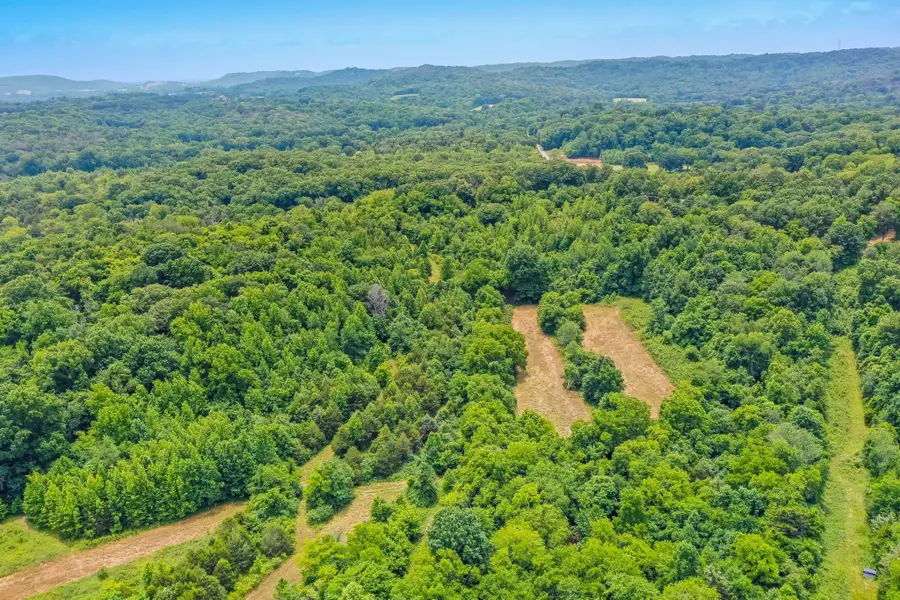 6492 Arno College Grove Rd, College Grove, TN 37046 - #3