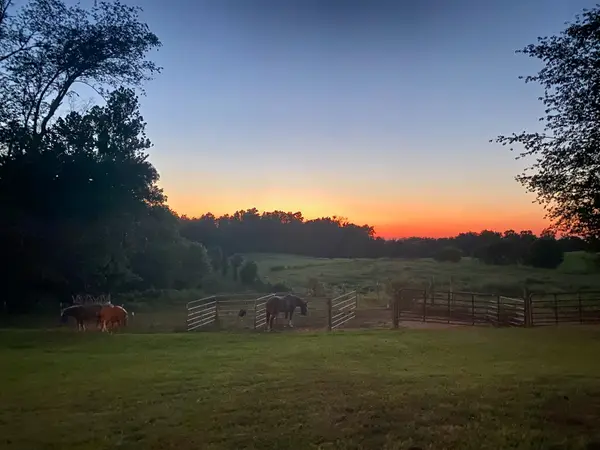 6180 Crawford Store Rd, Springfield, TN 37172