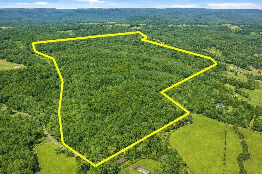 0 Andy Thomas Rd Road, Dayton, TN 37321 - #2