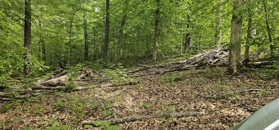 2225 Caney Branch Rd, Stewart, TN 37175 - #2