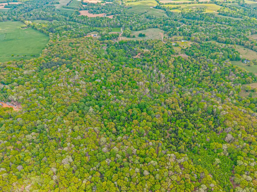 208 Tomsic Rd, Indian Mound, TN 37079 - #2