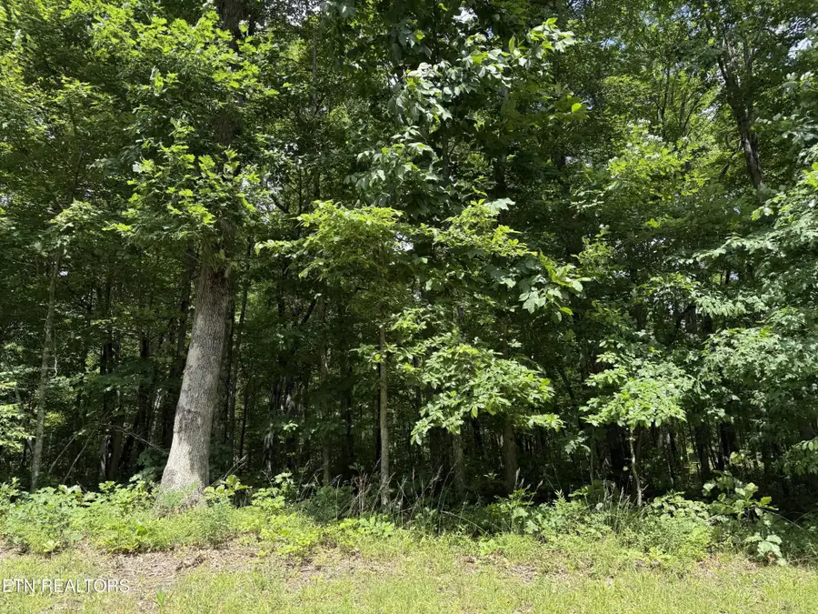0 Icy Cove Tr, Monterey, TN 38574 - #3