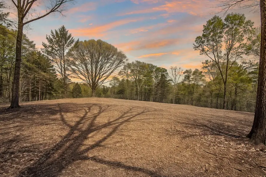 0 Butcher Ridge Rd, Cumberland Furnace, TN 37051 - #2