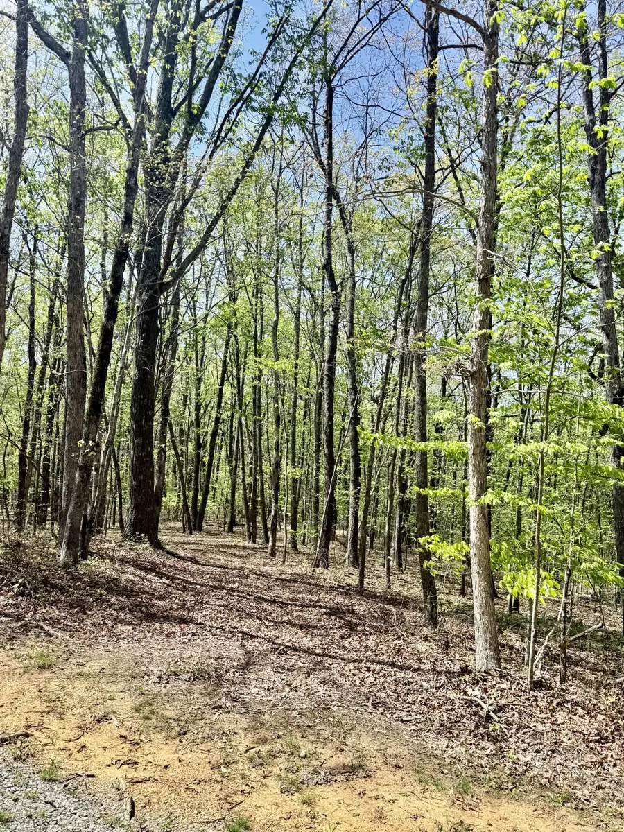 0 Timberwood Trace Lot 325 & 326, Monteagle, TN 37356 - #3