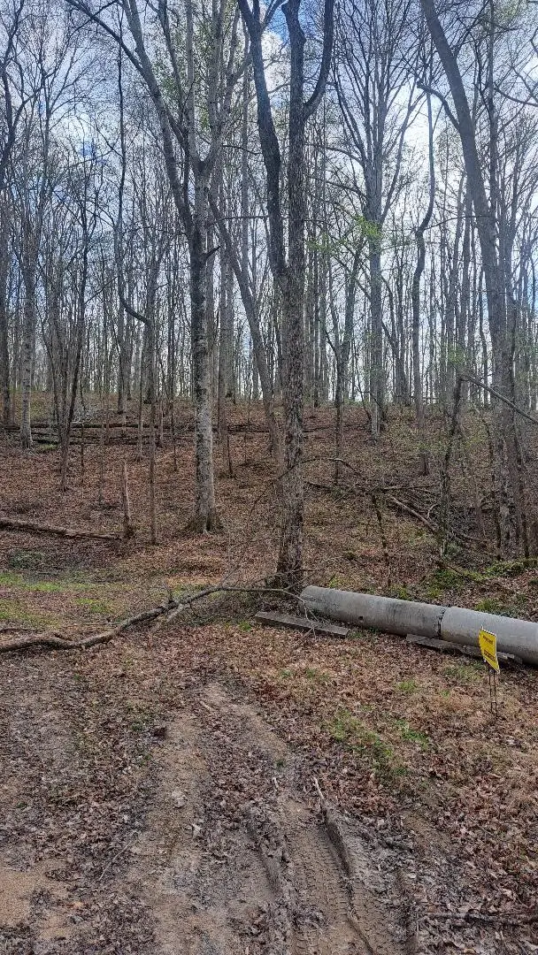 0B Napier Rd, Hohenwald, TN 38462 - #3